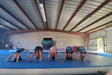 South Texas Tumble & Cheer