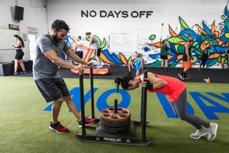 Legacy Fit Wynwood