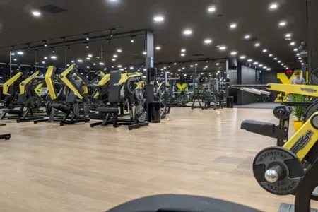 NextFit Vox