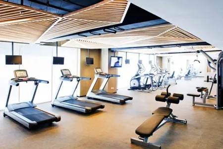 GAIA Gym