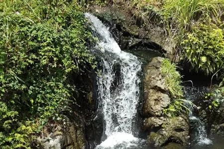 Manaaki Fitness Centre