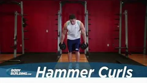 Hammer Curl
