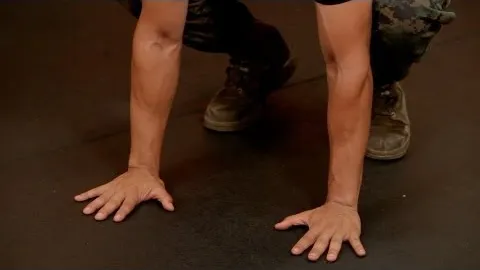 Burpee