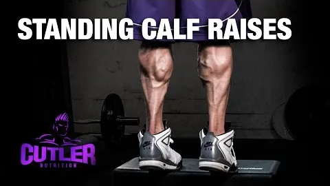 Standing Calf Raise