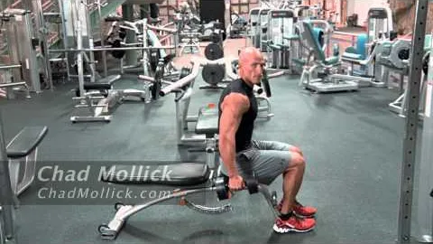 Seated Dumbbell Hammer Curl