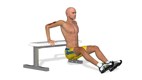 Triceps Bench Dips with Feet on Floor