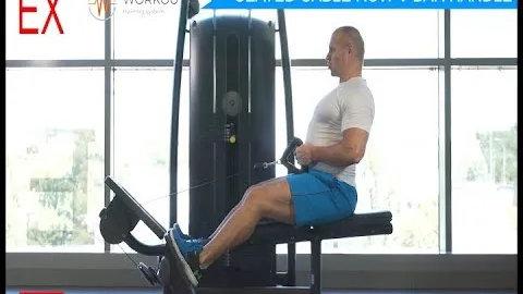 SEATED CABLE ROW V BAR HANDLE