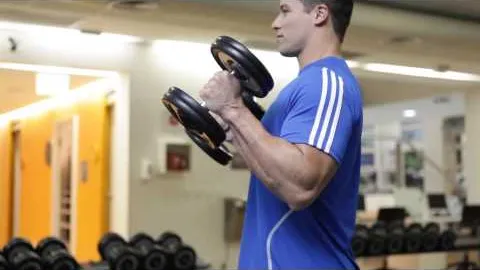 Hammer Curl
