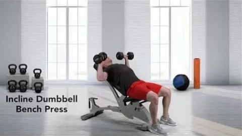 Incline Dumbbell Bench Press