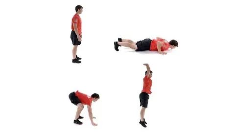 Burpee