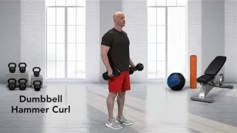 Hammer Curl