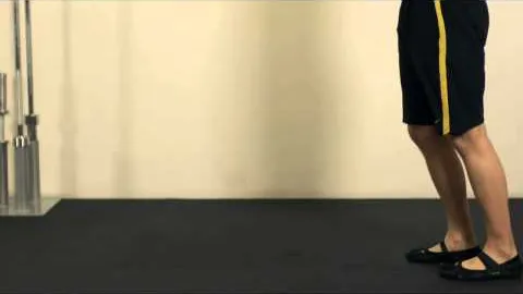 Dumbbell Lunge Woodchop