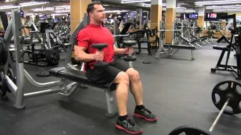 Seated Dumbbell Hammer Curl