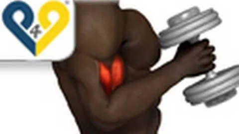 Alternate Hammer Curl